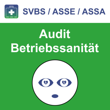 Audit-Betriebssanität-SVBS